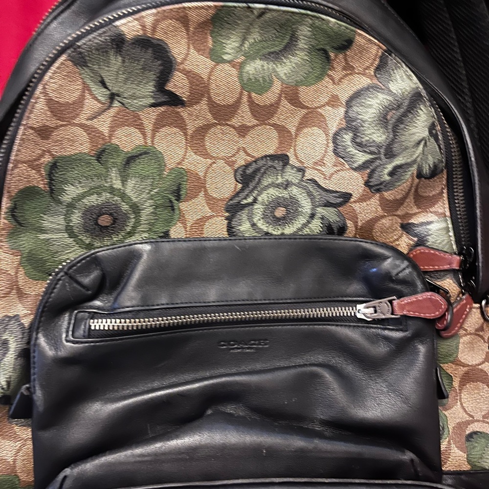 Coach Backpack